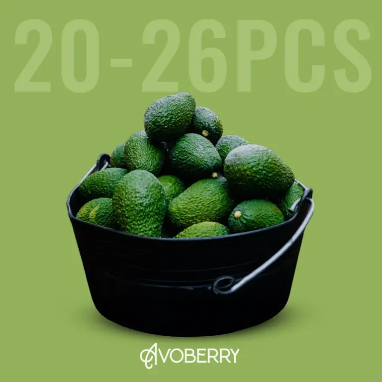 Exotic Fruit Basket (5 Kg)